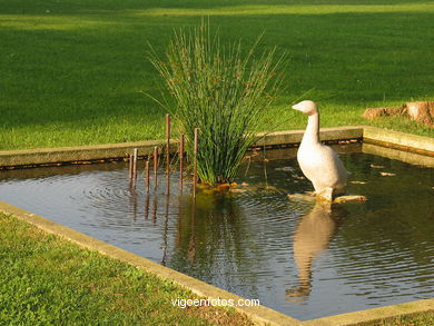 Fuente con Oca (Qui�ones de Le�n)  - Jos� Luis Medina
-  (Map location). 