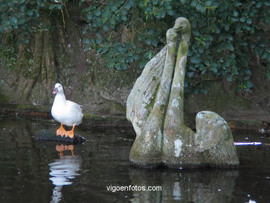 Cisnes  - Camilo Nogueira Mart�nez. (1972)
-  (Map location). 