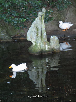 Cisnes  - Camilo Nogueira Mart�nez. (1972)
-  (Map location). 
