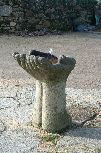 Fuente - Manos con agua  - Silvino Silva