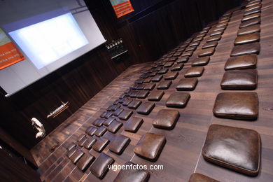 Multipurpose hall - 'Pedro Barrié de la Maza' Foundation - Vigo .