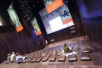 Multipurpose hall - 'Pedro Barrié de la Maza' Foundation - Vigo .