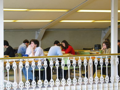 Biblioteca. 
