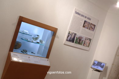 Sala de arqueolog�a - Qui�ones de Le�n. 