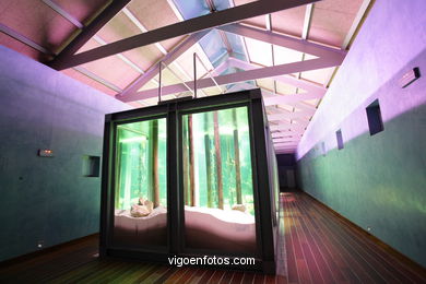 Aquarium of the Museum of the sea.