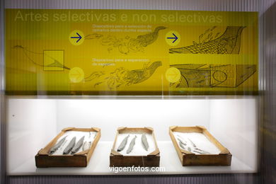 OCEANOGRAPHY AND AQUACULTURE.  MUSEUM OF THE SEA OF GALICIA