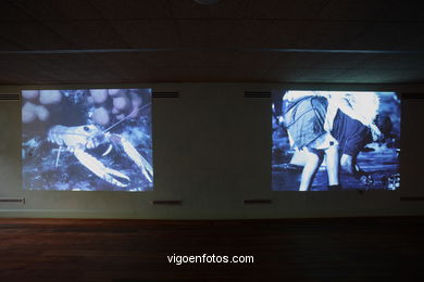 Sala de exposiciones central del museo: Sala Peirao del Museo do Mar de Galicia. Vigo.. 