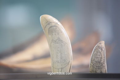 Extraction, preserving and marketing . Museum of the sea of Galicia. 