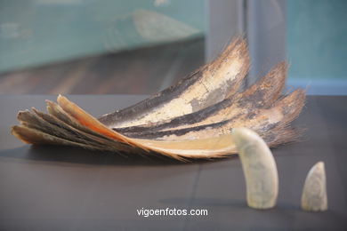 Extracción, conservación y comercialización de productos del mar. Exposición permanente del Museo do Mar de Galicia. Vigo.
