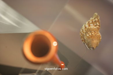 Extraction, preserving and marketing of products of the sea. Permanet exhibition in the Museum of the sea of Galicia. Vigo.