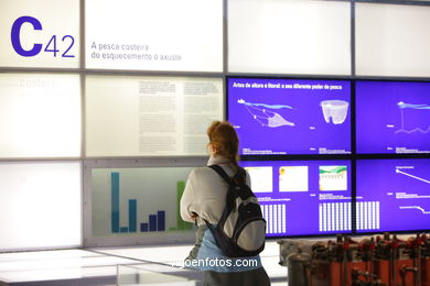 Extracción, conservación y comercialización de productos del mar. Exposición permanente del Museo do Mar de Galicia. Vigo.