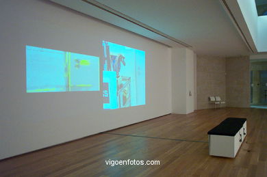 Exposici�n Cardinales. Museo Marco. 
