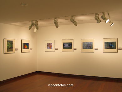 Salas de exposici�n del Centro Social Caixanova. 