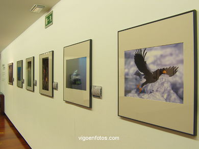 Salas de exposiciones. Centro Social Caixanova. 