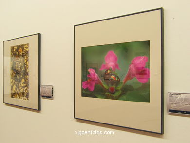 Salas de exposici�n del Centro Social Caixanova. 
