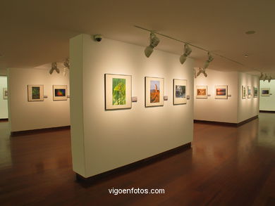 Salas de exposici�n del Centro Social Caixanova. 