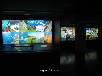 Sala Nuestro Planeta.