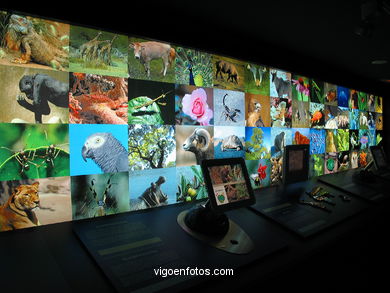 Sala Nuestro Planeta.