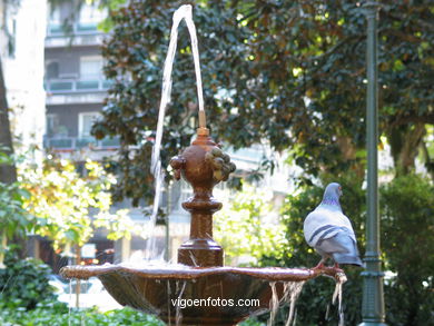 Paloma en fuente de la Alameda.