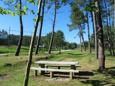 Forest park of Bandeira.