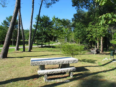 Forest park of Bandeira.