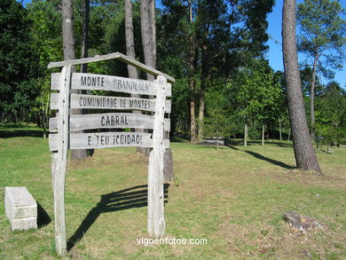 Forest park of Bandeira.