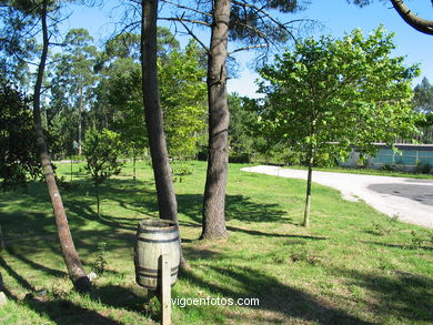 Forest park of Bandeira.