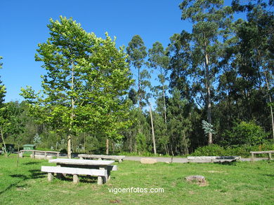 Parque forestal de Bandeira. 