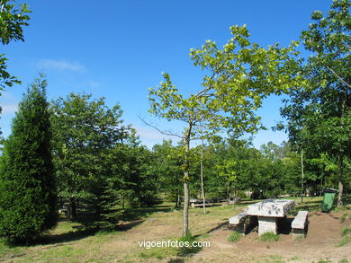 Parque Forestal de Beade (Vigo). 