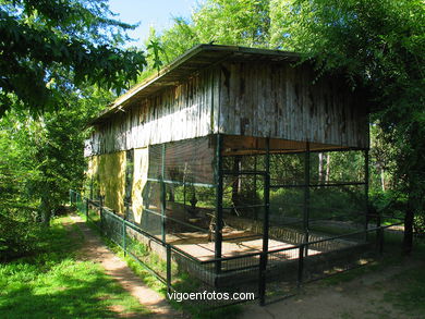 Parque Forestal de Beade (Vigo). 
