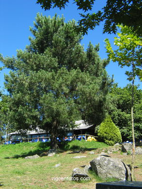 Nature park of bembrive
(Nature parks)
. 