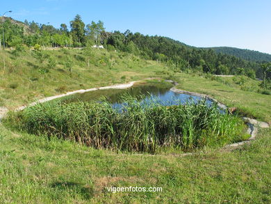 Mountain cepudo and alba. Nature parks. 