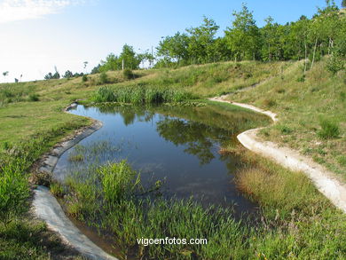 Mountain cepudo and alba. Nature parks. 
