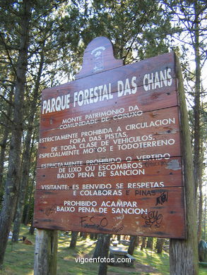 Forest park of Coruxo.