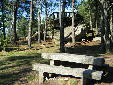 Forest park of Coruxo.