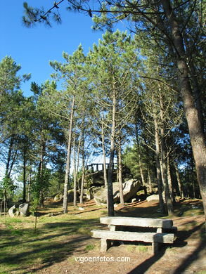 Forest park of Coruxo.