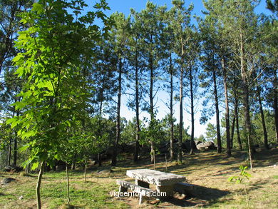 Forest park of Coruxo.