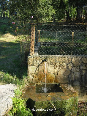 Parque Forestal de Coruxo (Vigo). 