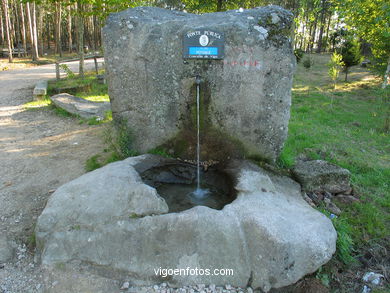 Parque Forestal de Coruxo (Vigo). 