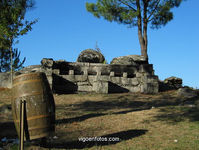 Parque Forestal de Coruxo (Vigo). 