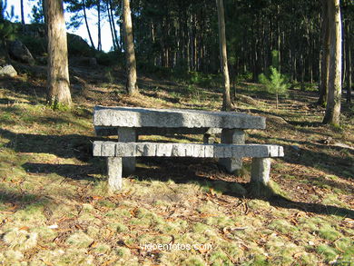 Parque Forestal de Coruxo (Vigo). 