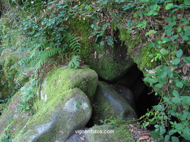Cuevas del Fol�n
(Mar, r�o y embalses)
. 