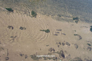 Fluvial walk of Lagares river. 