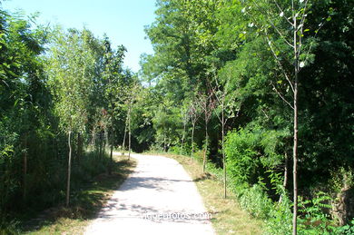 Fluvial walk of Lagares river. 
