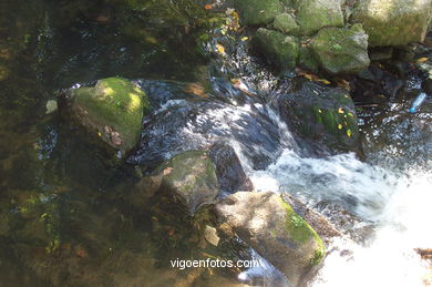 Fluvial walk of Lagares river. 