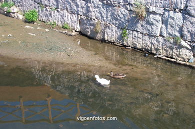 Paseo fluvial del Lagares. Mar, r�o y embalses. 