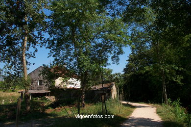 Fluvial walk of lagares river
(Sea, river and dams)
. 