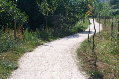 Paseo fluvial del r�o Lagares. 
