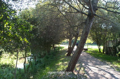 Fluvial walk of Lagares river. 