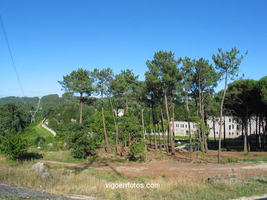 Parque Forestal de la Madroa en Teis (Vigo).